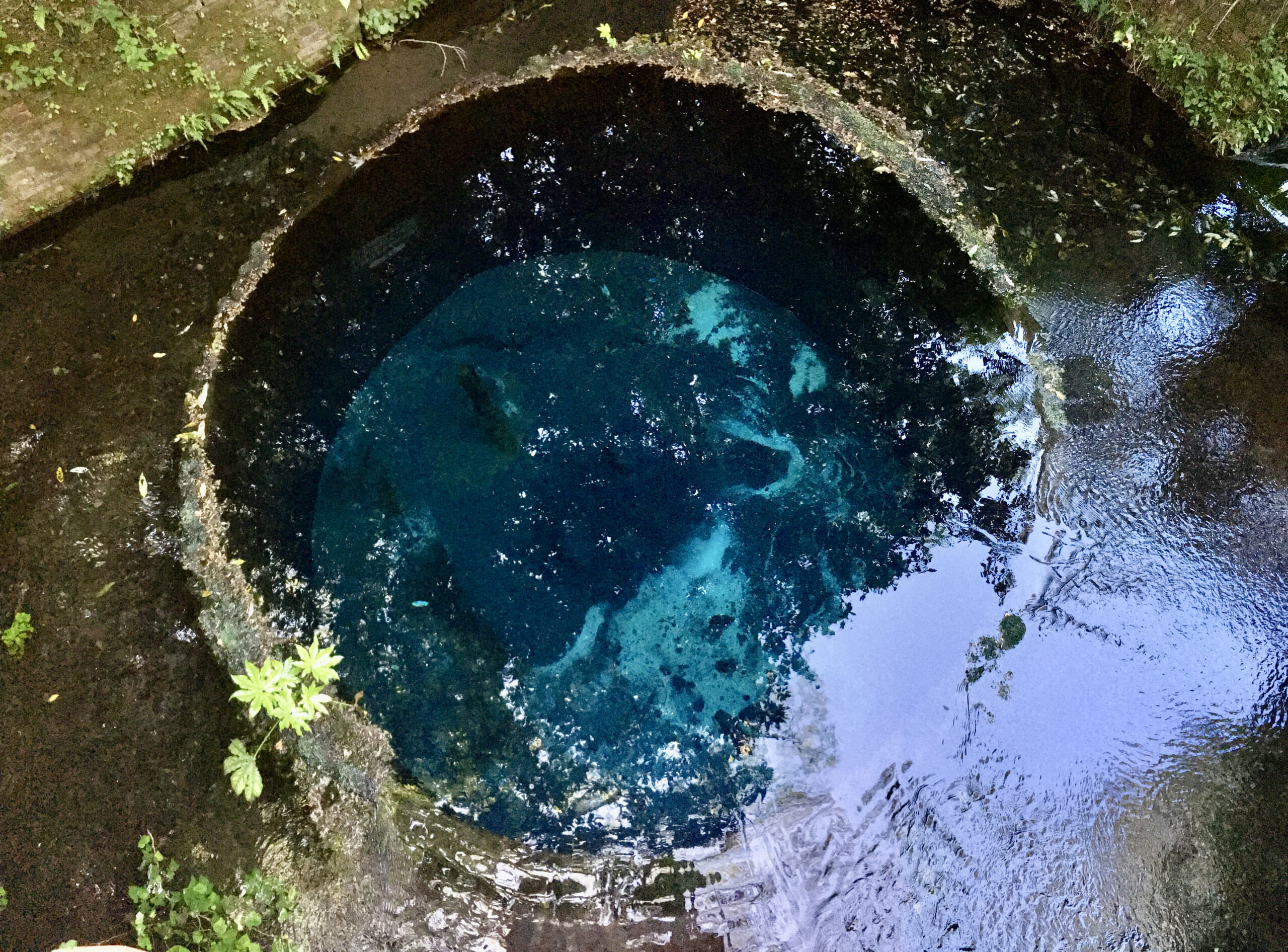 全国の湧水を見にいこう 地元人から聞いたおすすめ観光スポットとルート 水と暮らす