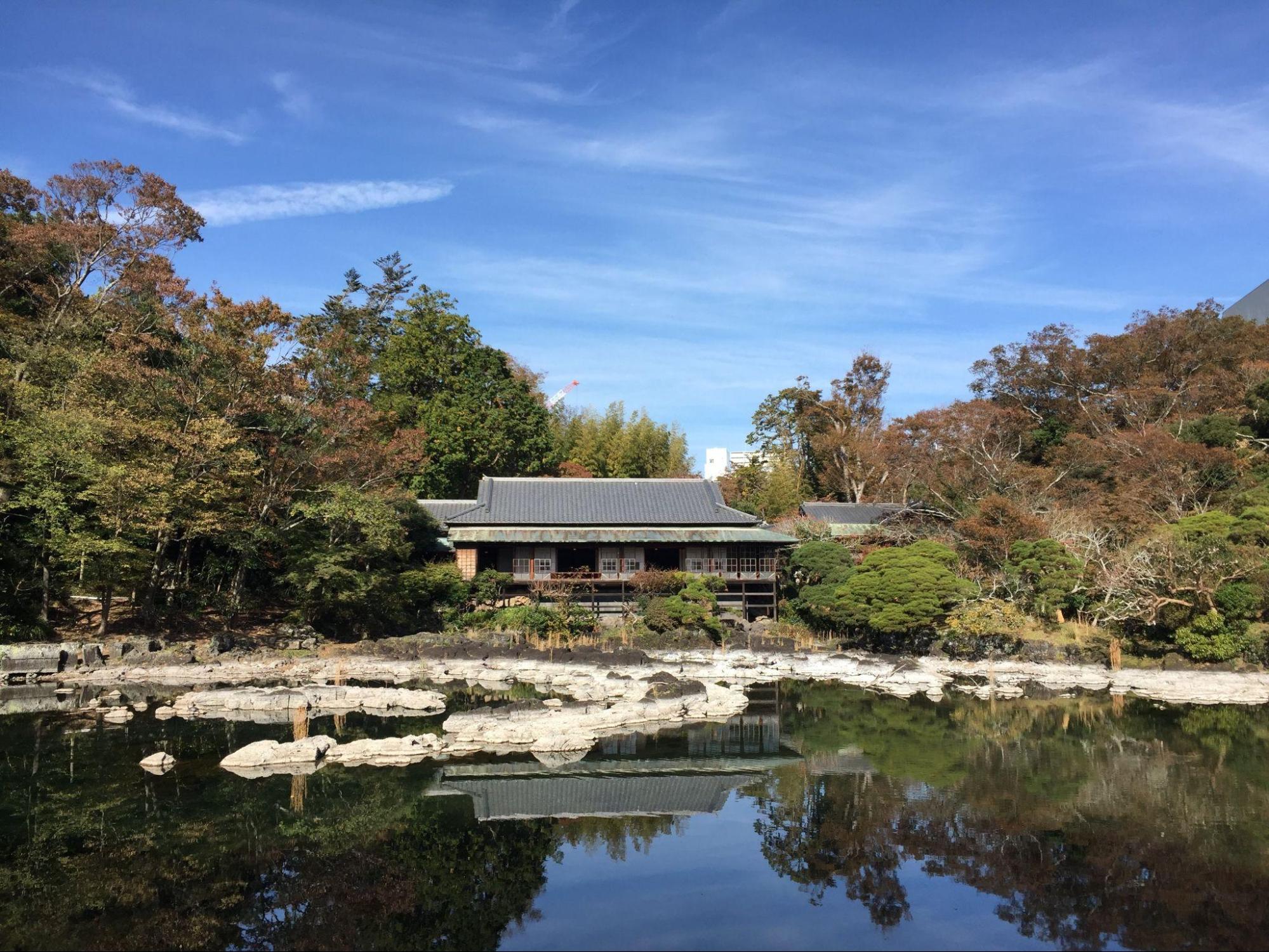 楽寿園の小浜池