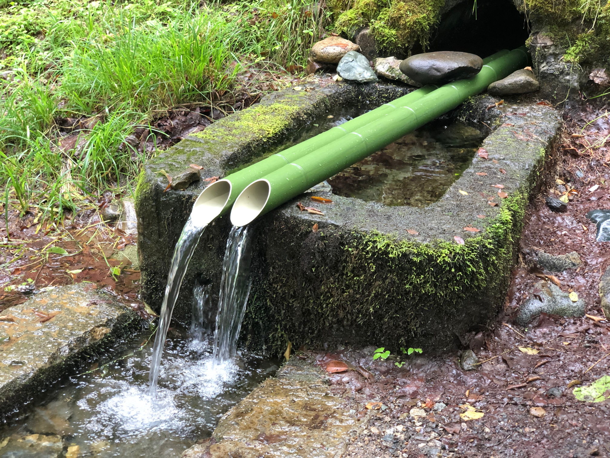 代官清水の湧水