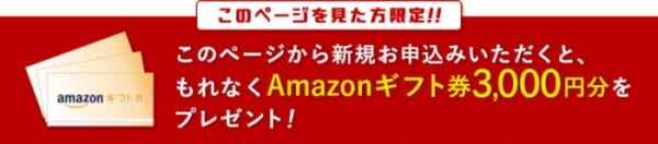 このページを見た方限定!!このページから新規申し込みいただくと、もれなくAmazonギフト券3,000ポイントをプレゼント!