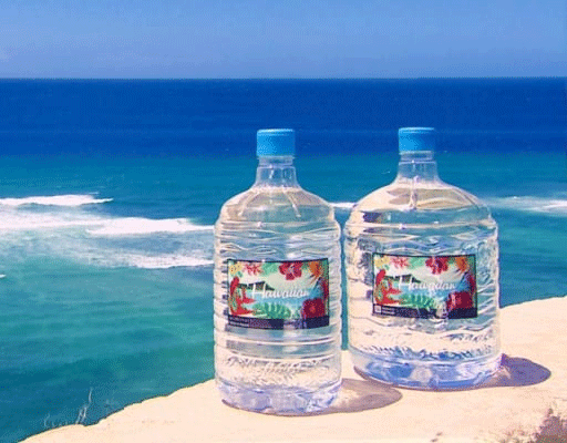 ピュアハワイアンウォーターのボトルが2つ並んでいる画像