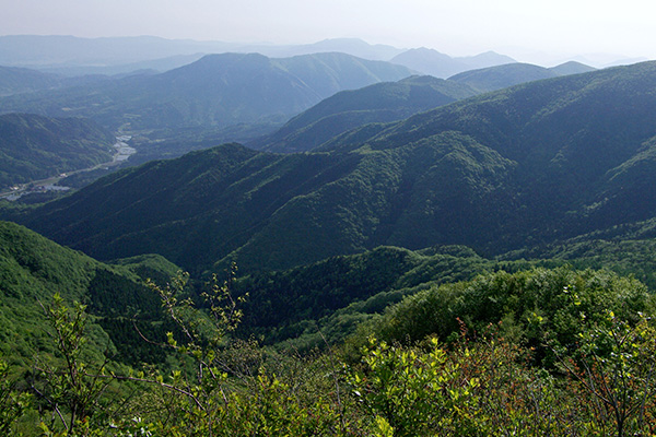 緑豊かな山脈