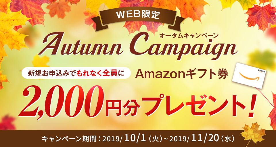 WEB限定秋キャンペーン 新規申し込みでもれなく全員にAmazonギフトカード2,000円分プレゼント! キャンペーン期間:2019/11/20(水)まで